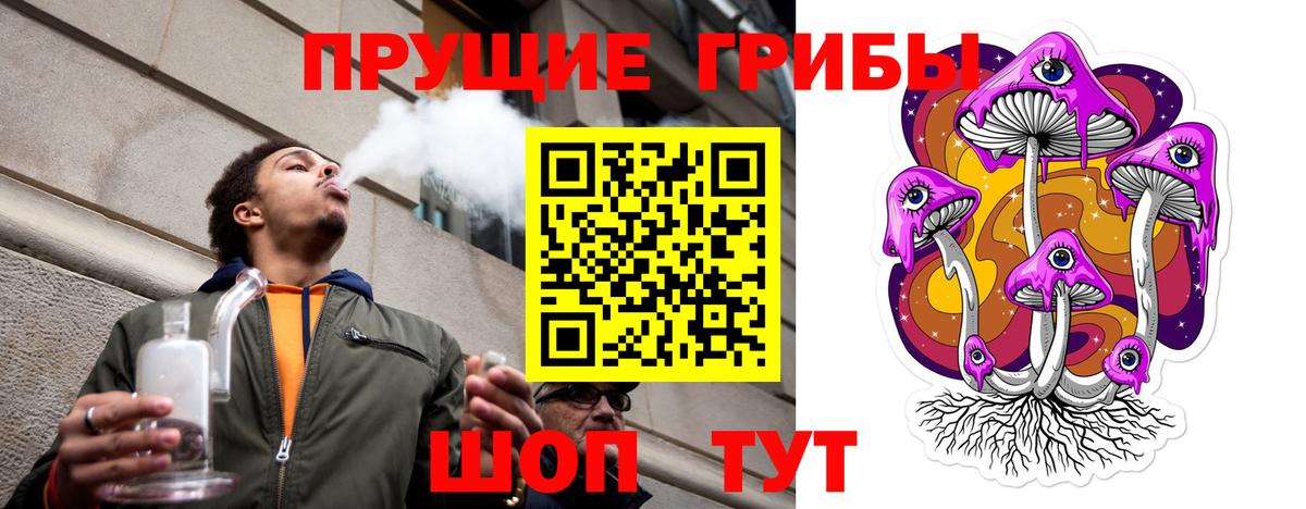 Киселёвск  Галлюциногенные грибы мухоморы  Вход с VPN 